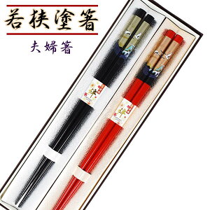 ዷh vw    yA[Zbg ͂ ዷh  䌧ls 2{Zbg v[g Mtg 蕨  ϔ