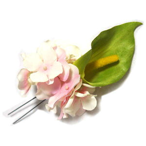 yz J[   l Up  Ǝ  ͂ a   hX wAANZT[ sN@ F  p 킢  Y ꂢ ؂