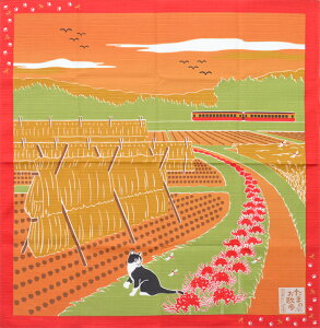 V^`[t@˂C~@s܂̂Ut@H@ފ݉ԁ@[̓cځ@y͂񂩂zy{zy`NXzy50cmz