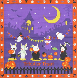 V^`[t@C~@lGʕzV[Y@gbNIAg[g@yzynJ`zy`NXzyyYzy50cmzyplacematzy{zynEBz