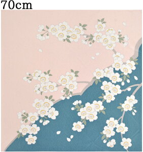 x߂񕗘C~@FT@@O[×sN@70cm@yӂ낵zy{z