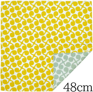 ɍl@ȁ@ʏC~@48cmV@CG[×CgO[@ynJ`zy`NXzyFzyo[VuzyV^`[tz