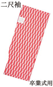 ᑲƎp@ڑ@Pi@ԁ@R@g110cm@yFTCYzyщzyz