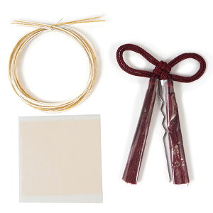 l  S[h Vo[ O[ GW  [ R  wAANZT[ RZbg 3_Zbg Ǝ Ӊ OB  ͂ U  a a  Ayanasu y