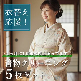 着物 クリーニング 5点セット 宅配 衣替え応援 正絹 きもの 訪問着 丸洗い 洗い シミ抜き 汗 抜き プレス加工 洗濯 メンテナンス お手入れ 京洗い 着物クリーニング 小紋 紬 長襦袢 色無地 子供着物 袋帯 名古屋帯 5枚 まとめて 和服 衣替え