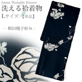洗える着物 袷 小紋 Lサイズ ちりめん テイジン素材 単品 ネイビー ツタ レディース 仕立て上がり 相田翔子好み 和装 和服 きもの プレタ 春 秋 冬 きもの カジュアル 可愛い 普段着 ポリエステル
