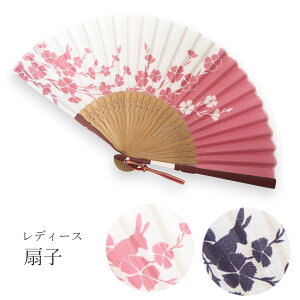 q  q sN  Ȃł ETM  fB[X  Mtg v[g ̓