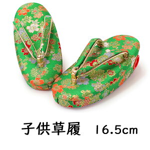 ܎O  3 ̎q 16.5cm    @   ǂ qǂ q   ЂȍՂ    753 LbY a SDGs