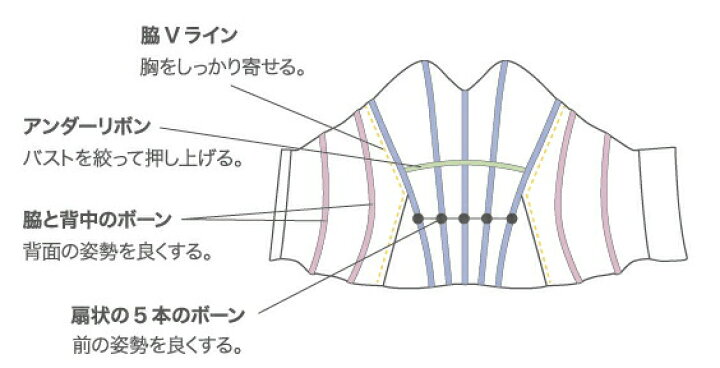 楽天市場】販売用 TheD ザ ディ ブライダルインナー ドレスインナー 
