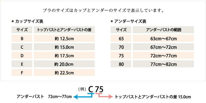 楽天市場】販売用 TheD ザ ディ ブライダルインナー ドレスインナー  