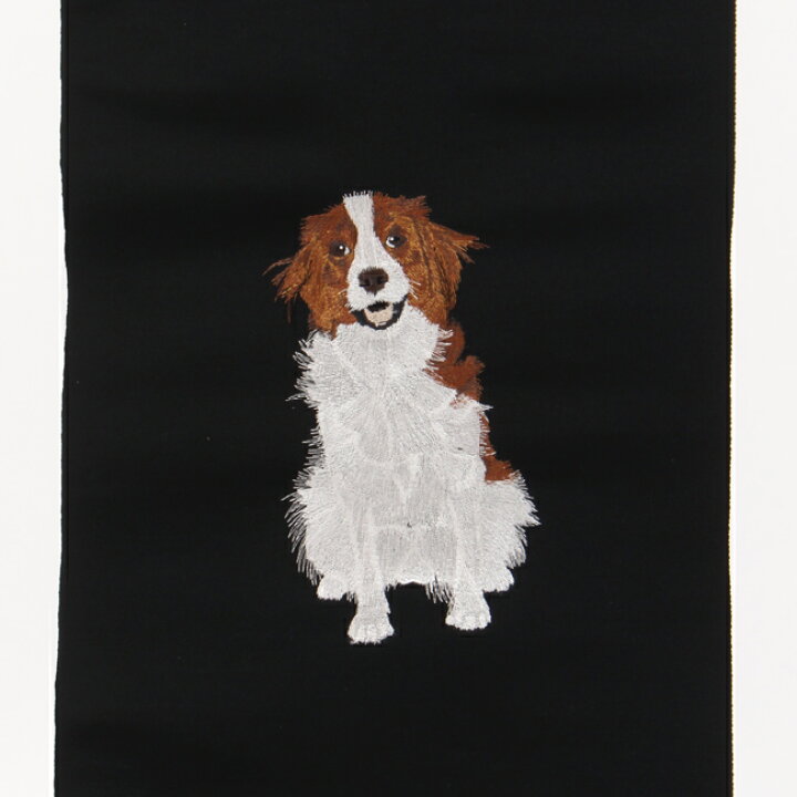 楽天市場】【3/18-21 09:59まで☆全品10%OFFクーポン】 【犬・コイケル 