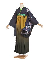 楽天市場】袴 カラシの通販
