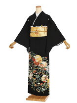 楽天市場】蔦紋 喪服の通販