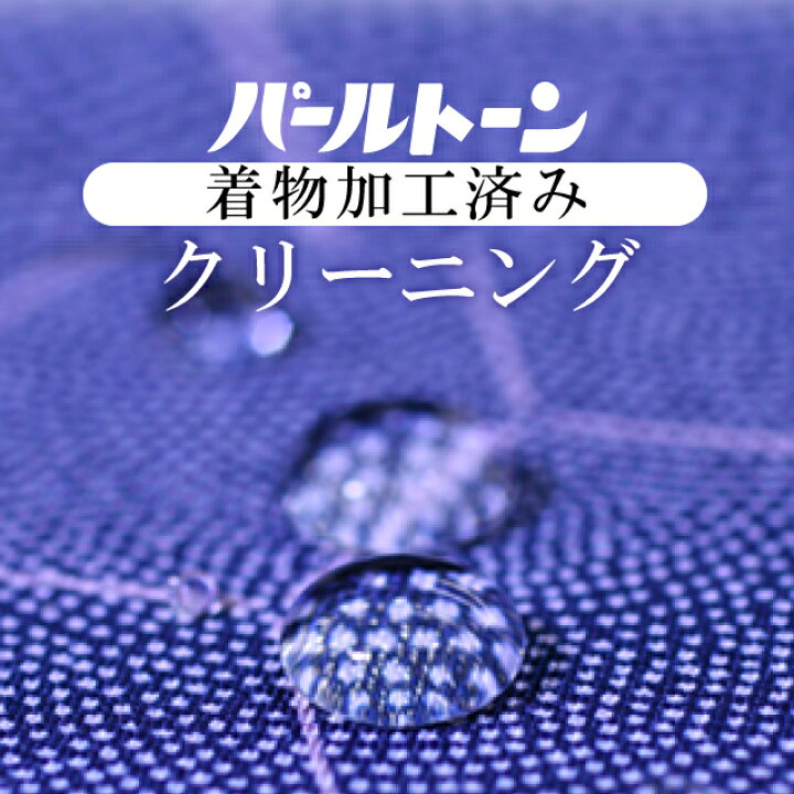 楽天市場】＼最大15%OFF/ パールトーンアフター保険 着物・長襦袢・帯 