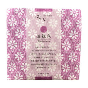 yzK[[nJ` { ͂񂩂 100 50×50cm ͂ȂK[[͂񂩂 gF ׂɂ Usubeni-iro {̓`F `F OɏHl s a _  }X