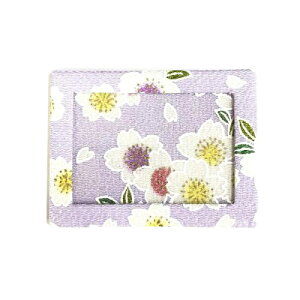 y1000~|bLzyzJ[hP[X a 30 킢  { s ̎G ߂FT a FT ߂G  ICJ[h  pXP[X ʐ^ 