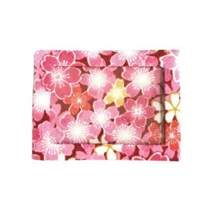 yzJ[hP[X 킢 { s ̎G 91 ߂FT a FT ߂G  ICJ[h  pXP[X ʐ^ tHgt[ v[g M