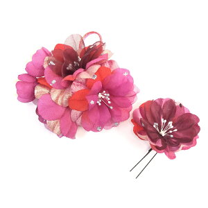 yz l 2_Zbg  t[ sN gR  H tFU[ U  уX^C a a   킢 R[^Cv Us^Cv