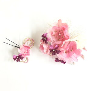 yz  2_Zbg l ݂ 킢 Up sN t[ n[g U ӂ肻  䂩 a a a p[r[Y wAANZT[