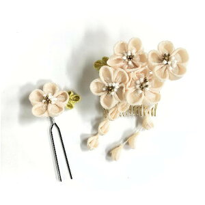 yz g  2_Zbg ܂ݍ׍H  { ݂ t[`[t U ӂ肻 Up l Ǝ ߂׍H   a Lm a 