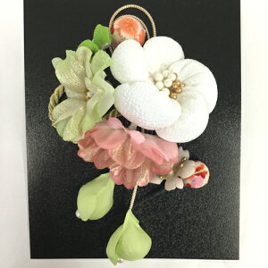   ݂ U Up l ߂񔯏   Lm a a ܂ݍ׍H p[ R[^Cv Us^Cv 2_Zbg { 