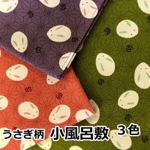 C~ ӂ낵  C~ V^C~ C~ `[t tVL GRobO  50cm 100 v[g 蕨 Mtg ٓ ٓ nJ` V^C~