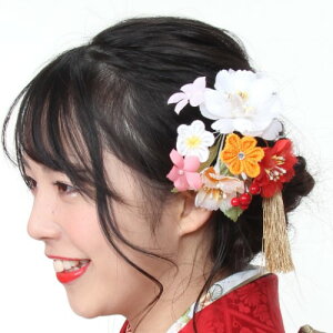   l 2_Zbg  RT[W R[ Us wAANZT[ U Ǝ { bh F  TN