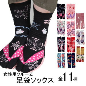  ܃\bNX N[ N[\bNX fB[X a {w  \bNX xmR  L     a  C