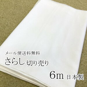 [  \tgd N ؂蔄 6m  炵 100 6m n }XNn }XN ؖ z n }XN