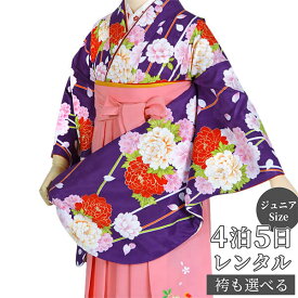 早期お届けキャンペーン【レンタル】袴 レンタル 小学生 女の子〔AG101〕紫　花くす玉卒業式 ジュニア 卒服 フルセット 十三参り 貸衣装 子供用
