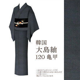 紬 着物 きもの【 送料無料 】韓国紬 現品限り 韓国大島 手織 紬着尺 120亀甲反物
