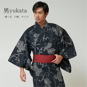 yX[p[Z[ ir[8300 4.74zy 8800~3300~zY  Pi Y  j Y dďオ藁  Y  j䂩 yukata v