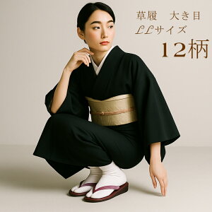 yX[p[Z[ ir[8300 4.74z傫TCY LL 傫 E^ E^\[ LLTCY 傫 E^   p Jp J