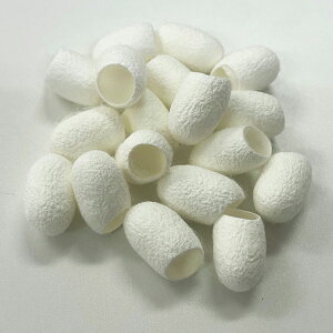  ܂  ܂l LC ʂ͖18xĂ܂ ʃ}bT[W 艻ϐ ʉϐ VNϐ VRVN100% VNZV VNot