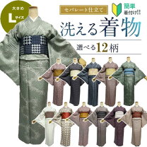 楽天市場】二部式着物 セットの通販