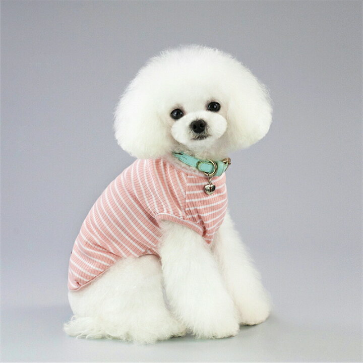 楽天市場 犬のかわいいウェアー ボーダー 犬用服 ペット服 小中型犬服 犬 ドッグウェア 散歩 旅行 お出かけ 犬の服 ペット用品 可愛い かわいい トイプードル ピース Pets5298 赤 青 水色 ピンク ブルー グレー Kimono5298