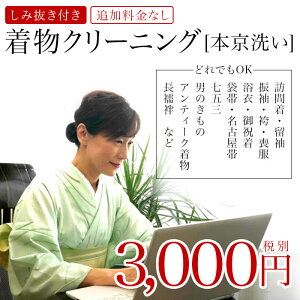 楽天市場 宅配クリーニングガイド シミ抜きはもちろん 詰め放題や保管サービスも充実