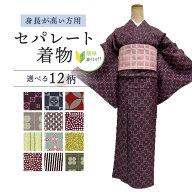 【店内全品5％OFFクーポン配布中】洗える着物 Lサイズ 【セパレート仕立て納品】簡単に着れる着物　セパ…