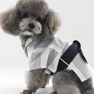 s r ߁t  r  ā@Č v[g Mtg a Mtg\ 킢 ʐ^Be s kimono5298