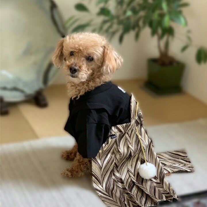 楽天市場】犬の紋付 着物 お正月に 犬の和装 犬着物 犬 紋付 IDOG  