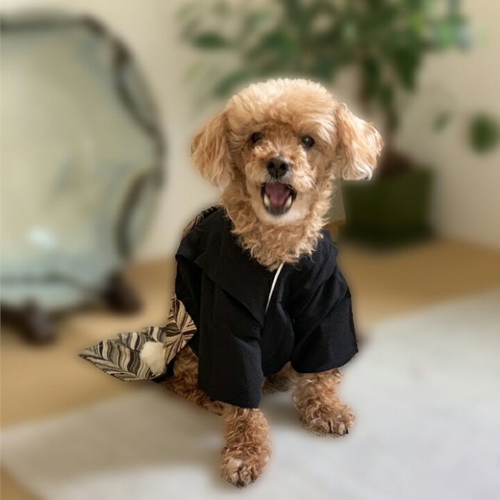 楽天市場】犬の紋付 着物 お正月に 犬の和装 犬着物 犬 紋付 IDOG 