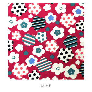 C~ O 50cm ~|bv S4F bh p[v u[ ^[RCY 唻 傫  ~ a a yLINEo^5%OFFz