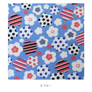 C~ ڎO 50cm ~|bv S4F bh p[v u[ ^[RCY yLINEo^5%OFFz