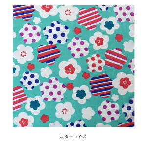 _Si|Cg2{^yLINEo^5%OFFz C~ O 50cm ~|bv S4F bh p[v u[ ^[RCY 唻 傫  ~ a a