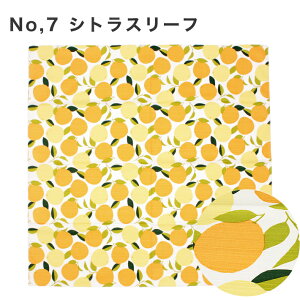 _l C~ 唻  _ ̗t FUROSHIKINX 90cm k obO C~obO ^gE ^yXg[ l `Zp  킢 _ CeA Ǌ| ؖ 100 V