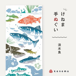 kenema ʂ W V[Y {  @ ˂ C    {{ 100 Rbg GR ̓ a v[g Mtg   a aG a