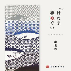 kenema ʂ o {  @ ˂ C u   {{ 100 Rbg GR ̓ a v[g Mtg   a aG a