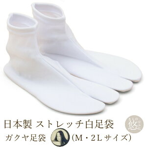 Xgb`   { KN Xgb`  (S2TCY) MTCY LLTCY  a aC C p jp | ^r [2 ܃\bNX wko-1970 z ̂
