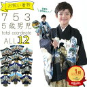 七五三 男の子 5歳 フルセット 男の子 753 男児 アンサンブル 男児トータルセット 羽織袴セット 全12種 豪華10点セット レトロモダン人気着物 購入 青色 紺色 黒色 金色 銀色 ブルー 空色 鷹 龍 兜 五歳用着物 五才用着物 7531906 z
