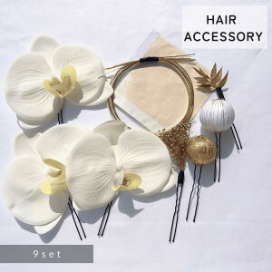 y20OFFSiΏہz փAANZT[  9_Zbg wbhhX l Ǝ 񎟉 wAANZ a Ǝ  wAAW  l wANbv 